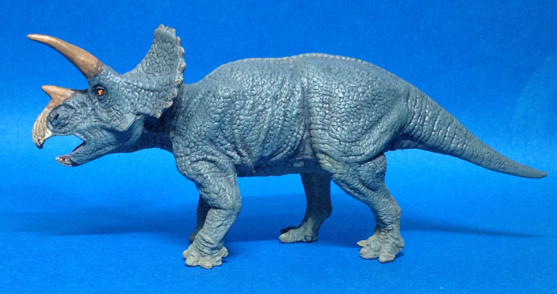 完成‼︎ 三角竜トリケラトプス : 海豹屋・Kのblog