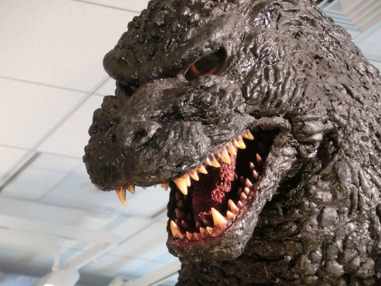 大ゴジラ特撮展に行ってきた 海豹屋 Kのblog