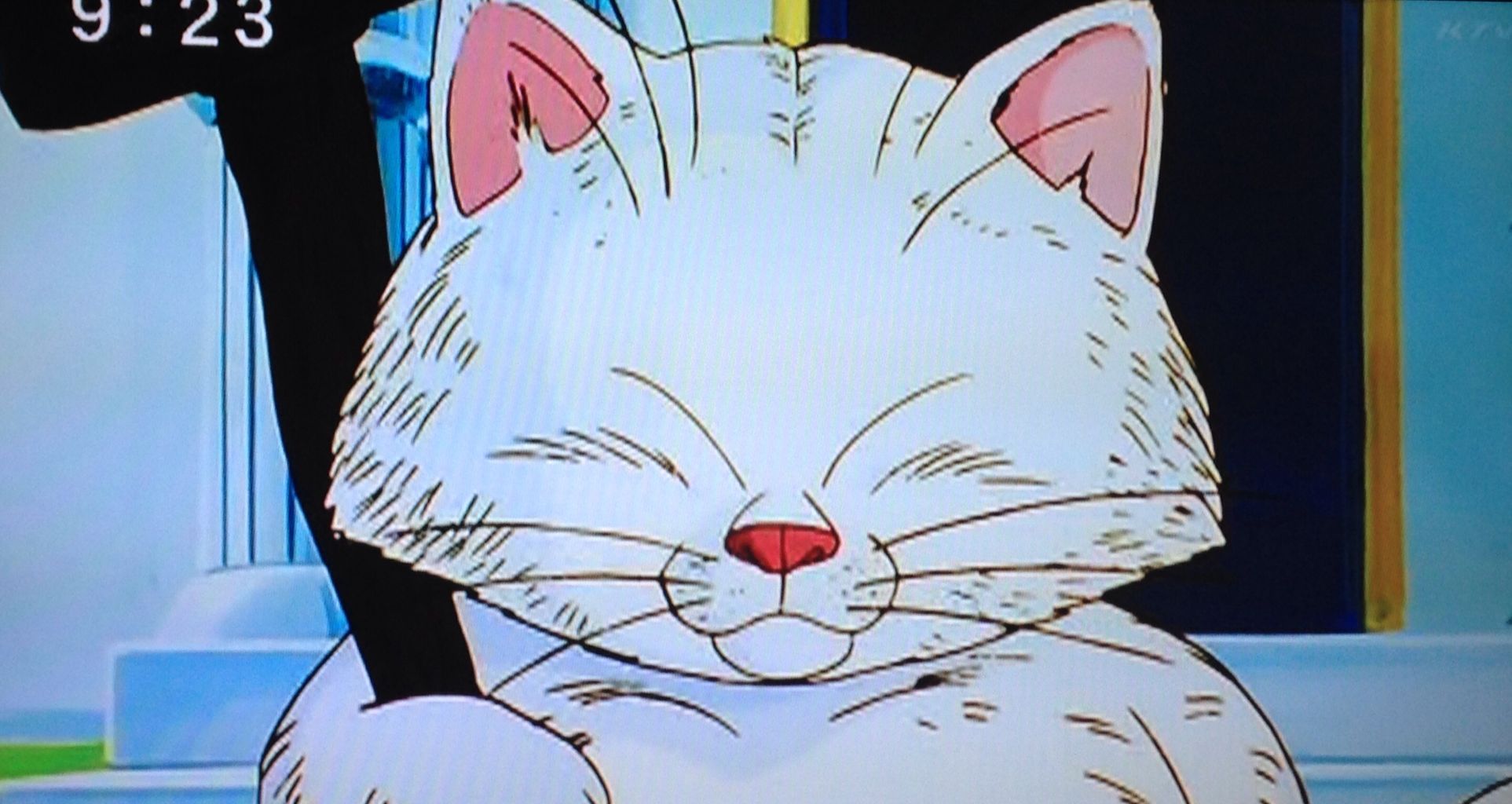 アニメについてアレコレ 海豹屋 Kのblog アニメについてアレコレ 海豹屋 Kのblog
