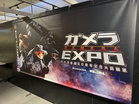 ガメラEXPOに行ってきた‼︎ : 海豹屋・Kのblog