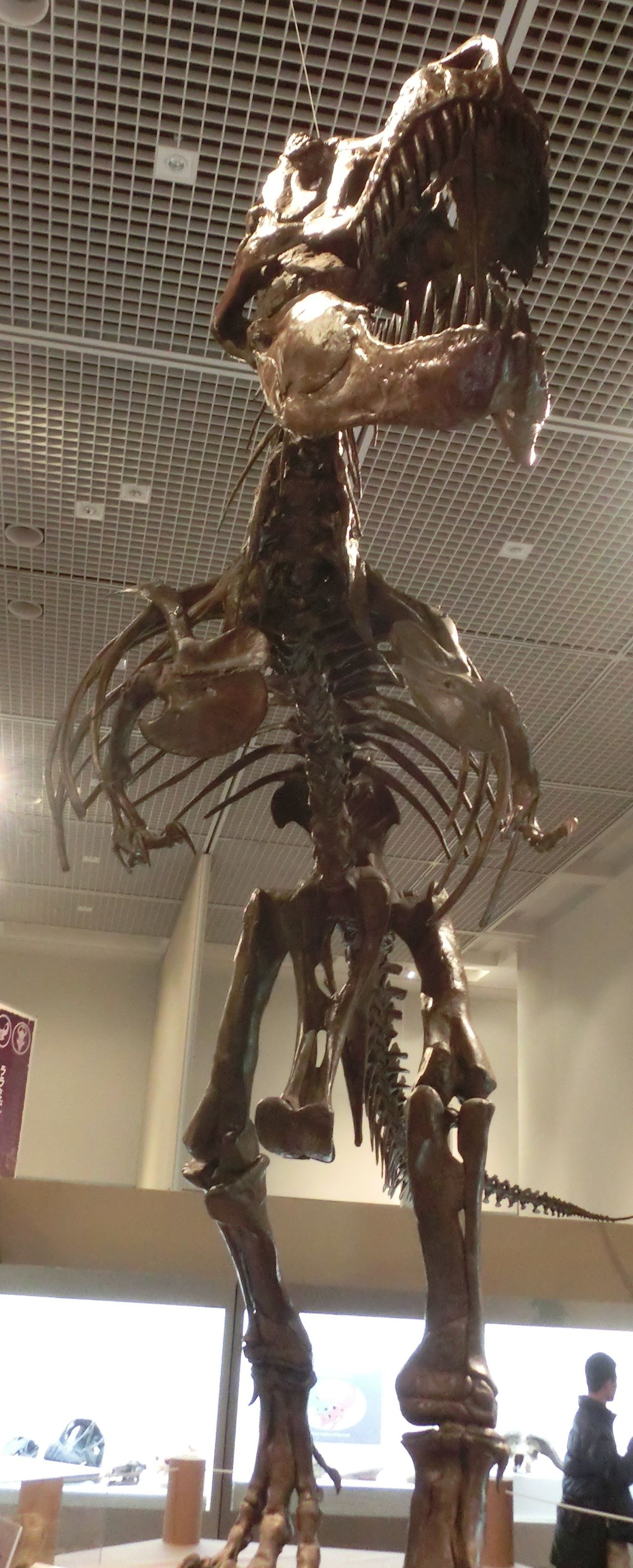 4806 外国切手 ブルガリア 1984年 先史時代生物 恐竜 6種セット