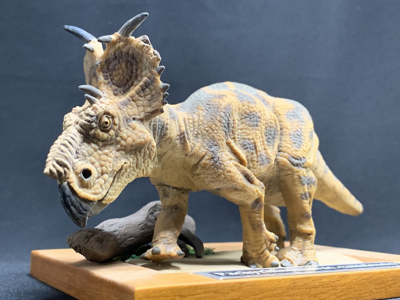 パキリノサウルス 〜過去作ふり返り 其の玖〜 : 海豹屋・Kのblog