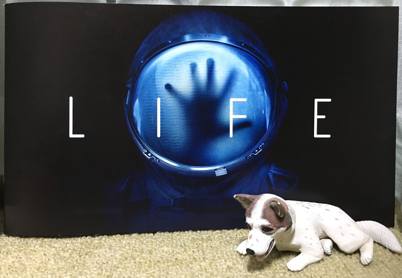 映画 ライフ 海豹屋 Kのblog 映画 ライフ 海豹屋 Kのblog