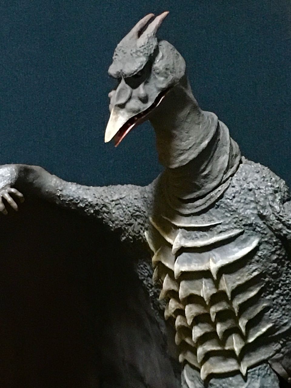 完成!! 空の大怪獣ラドン ～ひとりラドン祭～ : 海豹屋・Kのblog