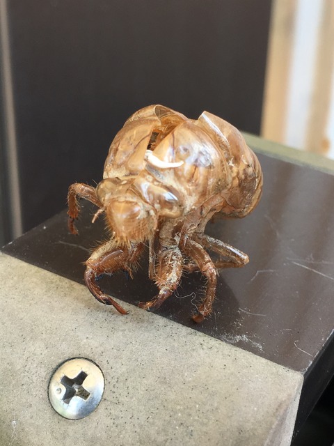 FA013ADD-1806-425E-912E-C06B3568ECB0