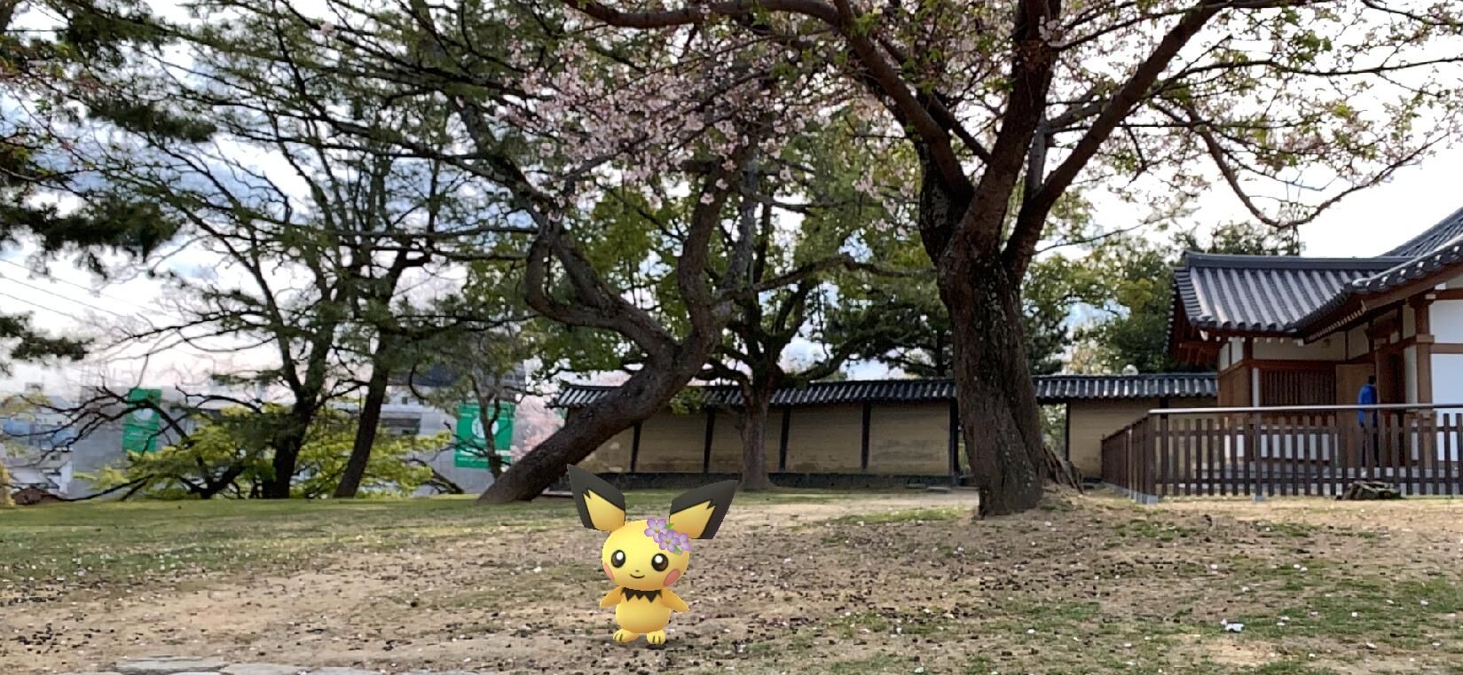 ポケモンと行く名所巡り 奈良公園 海豹屋 Kのblog ポケモンと行く名所巡り 奈良公園 海豹屋 Kのblog