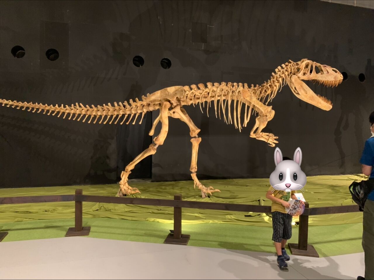 大恐竜展★タルボサウルス☆記念メダル★茶平工業 大恐竜展☆タルボサウルス☆記念メダル☆茶平工業