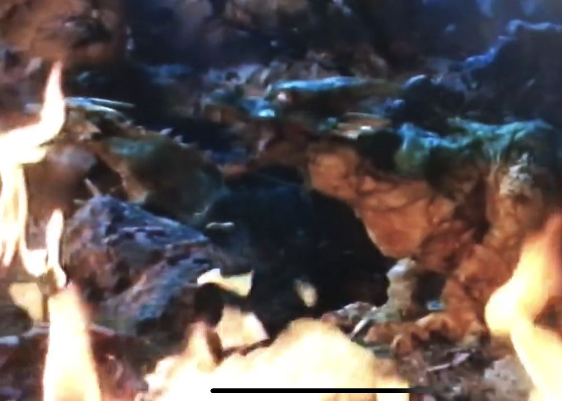 令和のデビルマン 海豹屋 Kのblog 令和のデビルマン 海豹屋 Kのblog