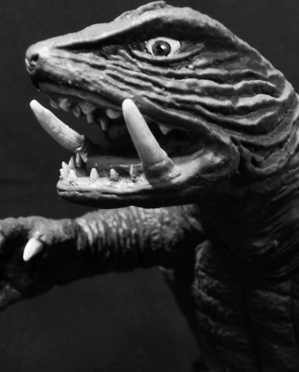 ガメラが来た 海豹屋 Kのblog