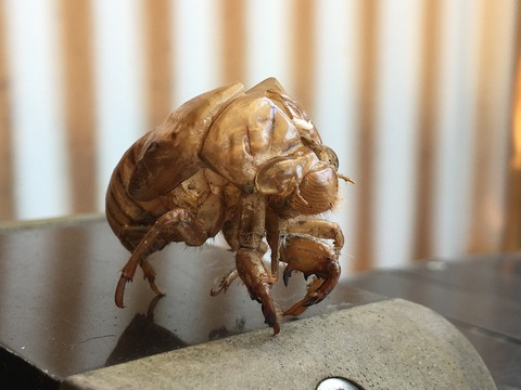 2FE75316-65AF-4308-9764-5326D6C0084E