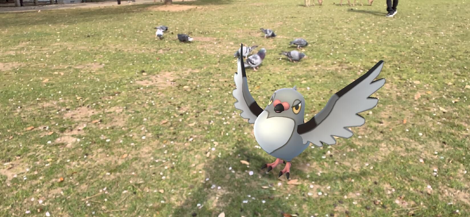 ポケモンと行く名所巡り 奈良公園 海豹屋 Kのblog