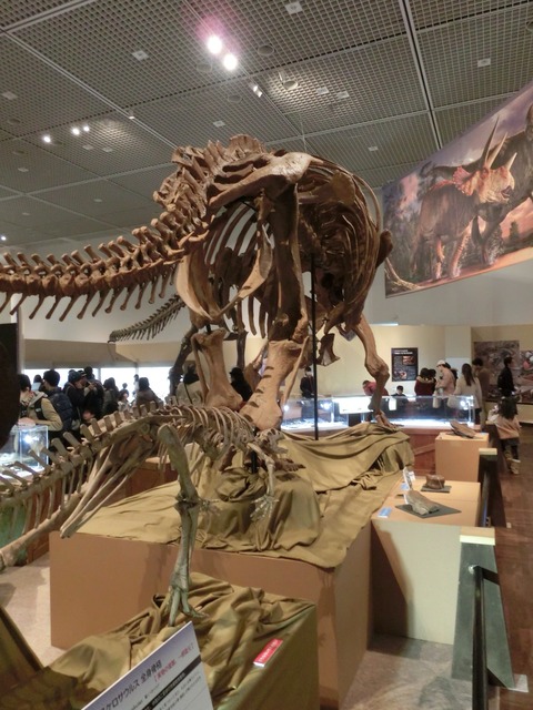 テスケロサウルス科