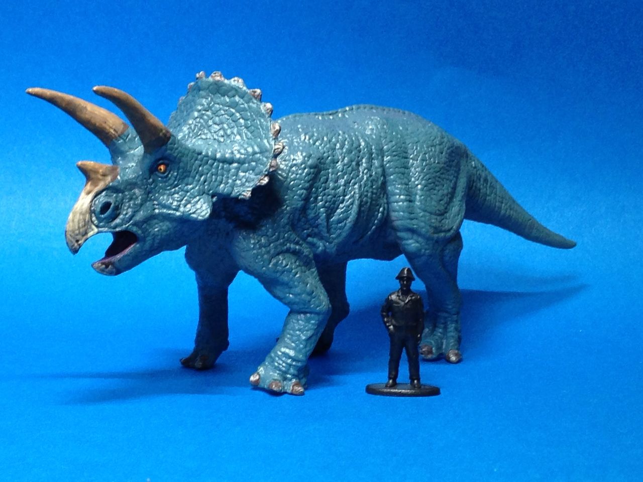 トリケラトプス展でゲットしたぜ‼︎ : 海豹屋・Kのblog