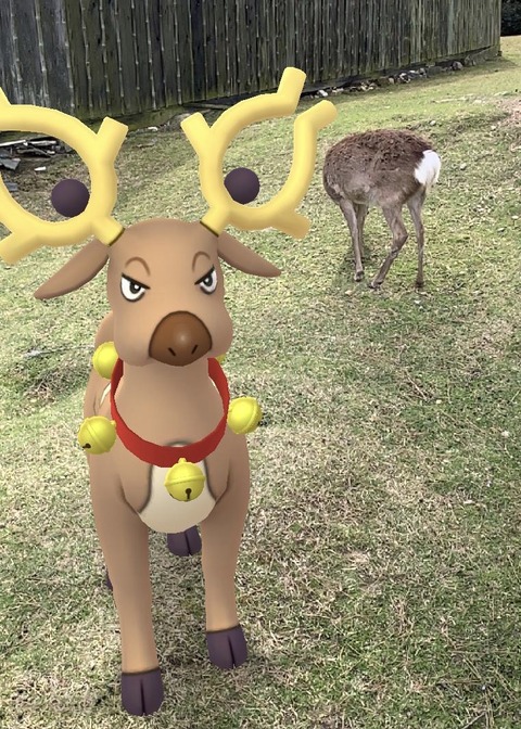 ポケモンと行く名所巡り 奈良の鹿 其の弐 海豹屋 Kのblog ポケモンと行く名所巡り 奈良の鹿 其の弐 海豹屋 Kのblog