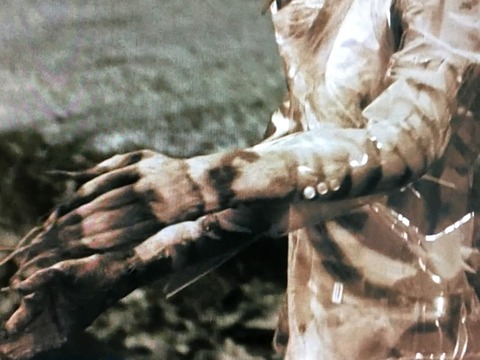 FE8E0C82-F086-4F4A-813F-5412456FA1A0