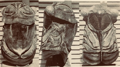 C76AA0AD-33FC-48C6-AC74-7E0CDC1C2856