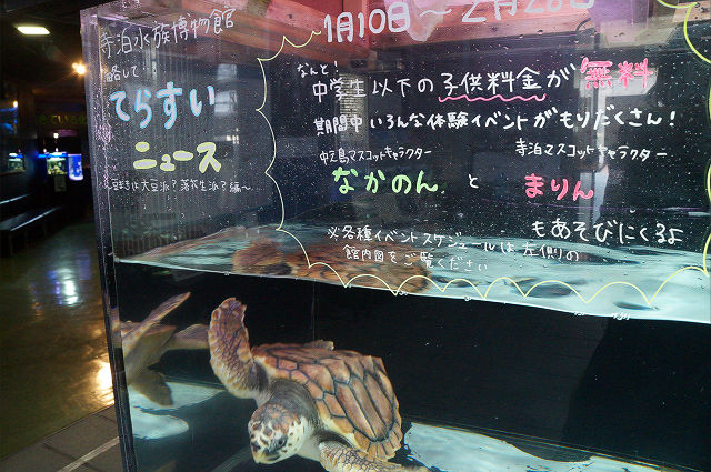 なかのん まりんin寺泊水族館の写真です なかのん公認ファンサイト なかのん まりんin寺泊水族館の写真です なかのん公認ファンサイト