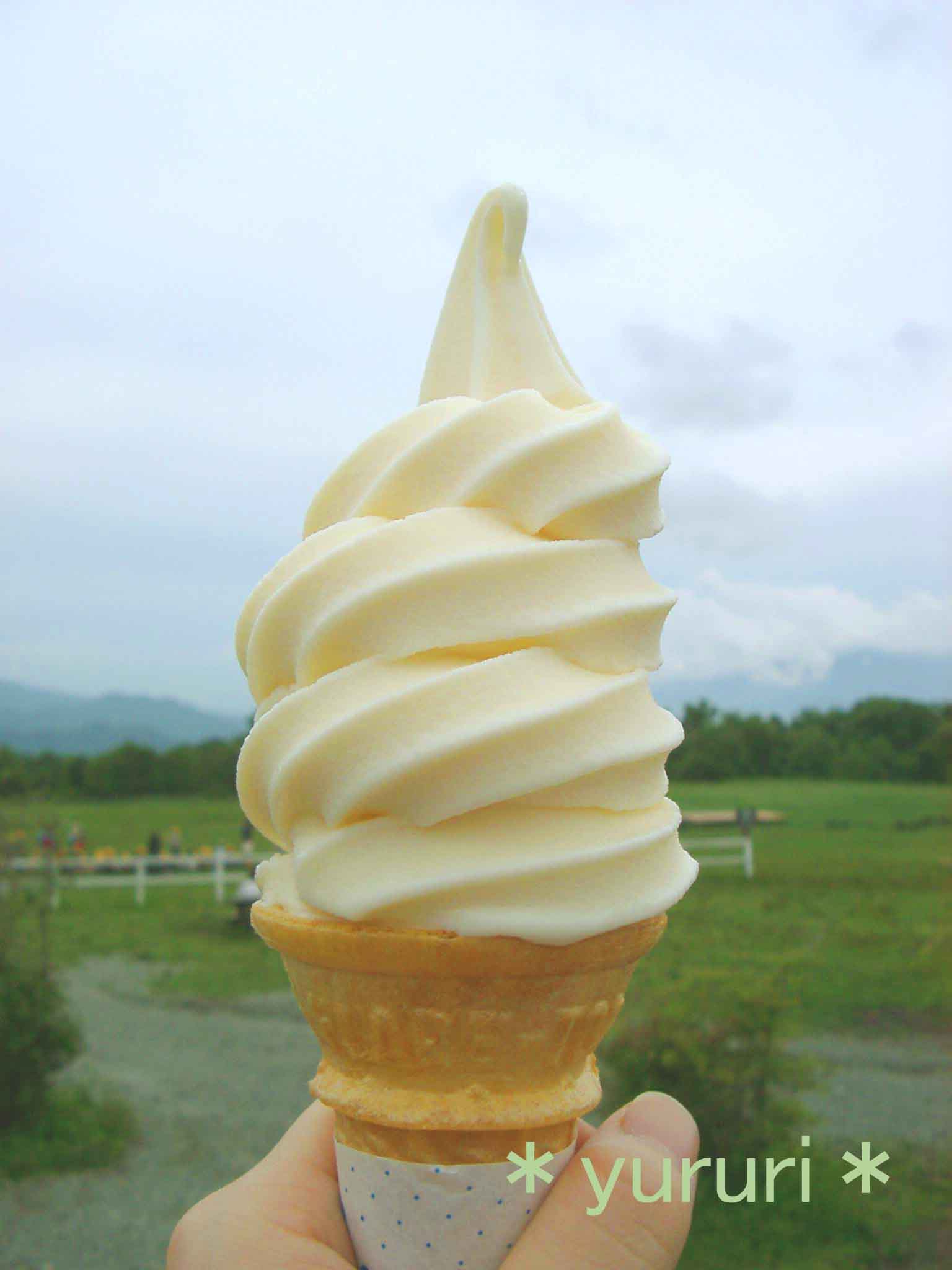 清泉寮ソフトクリーム