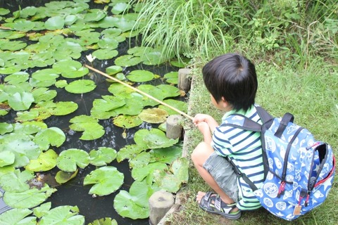 低年収 子沢山 教育費 倹約 貯蓄