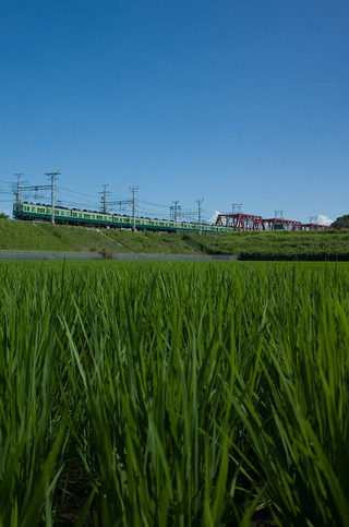 54666129812_58d6d13bea_c