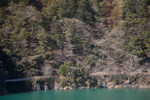 _MG_8639_convert_20190201001319