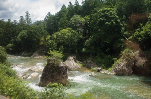 R0036556