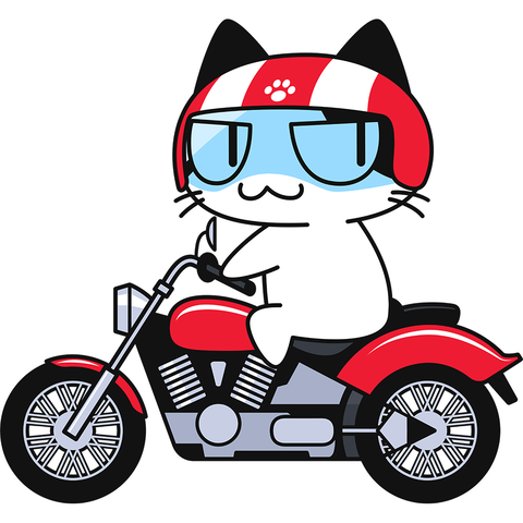 ねこ　バイク
