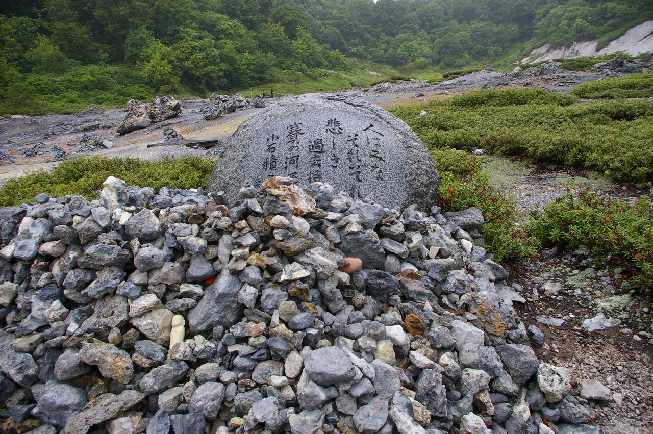 恐山 賽の河原 写真集 山と花と蝶 恐山 賽の河原 写真集 山と花と蝶