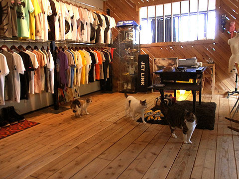 03_cat02