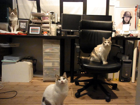 01_cat07