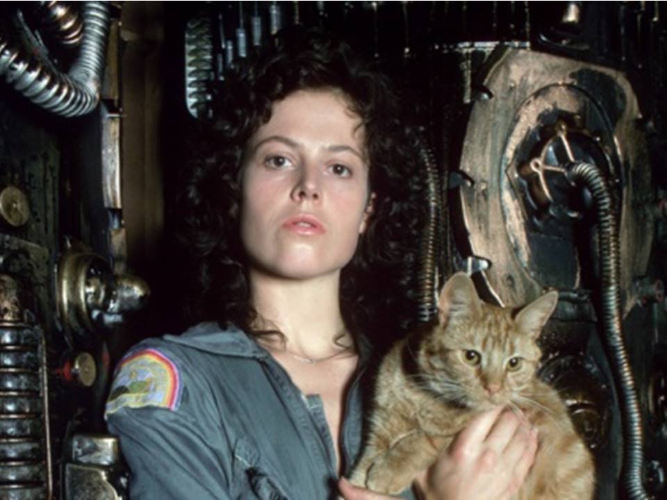 ripley2a