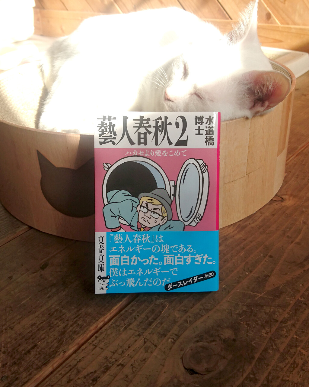 02book02a