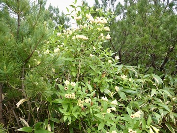 P7030179