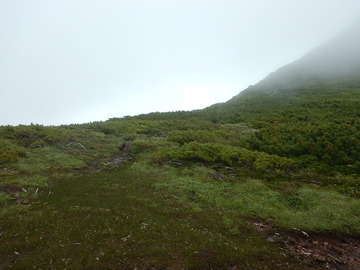 DSCN5068