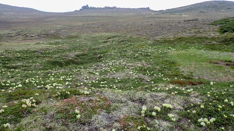 P6230137