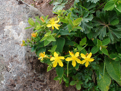 P8030182