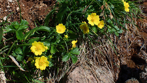 P7150112
