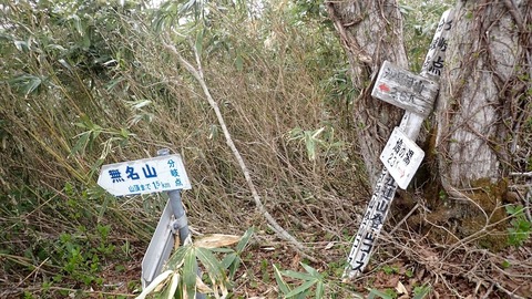 P5120034