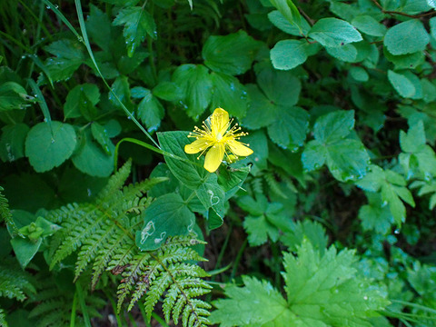 P8030043