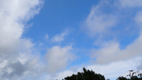 P5260100