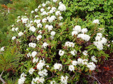 P7030156