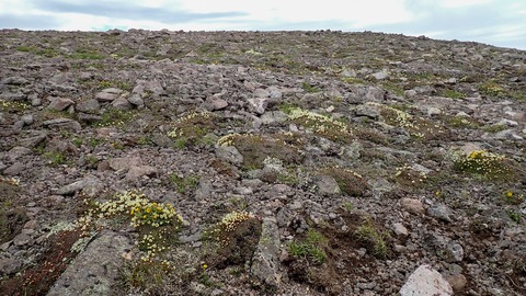 P6230112