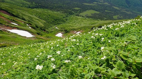 P6300124
