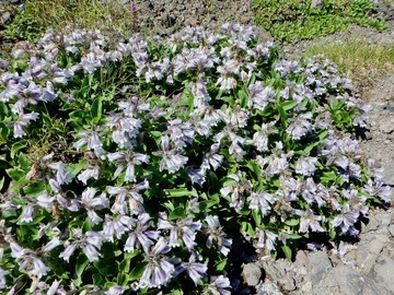 DSCN3717