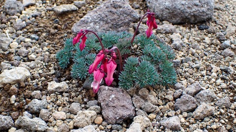 P6230025