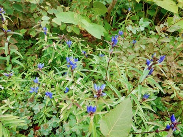 DSCN3828