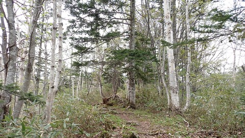 P5120027