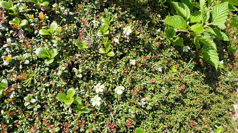 P6300056