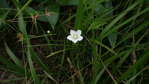 P8030038