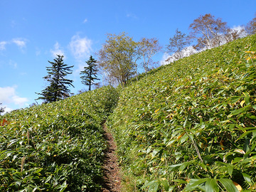 PA020086